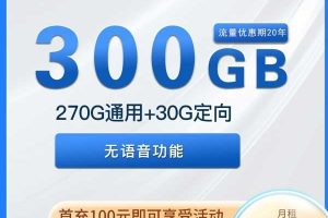 河南电信天洛卡39元270G通用+30G定向套餐介绍